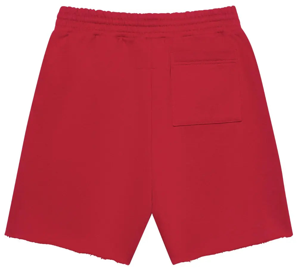 Sp5der Angel Number Shorts 'Merlot'