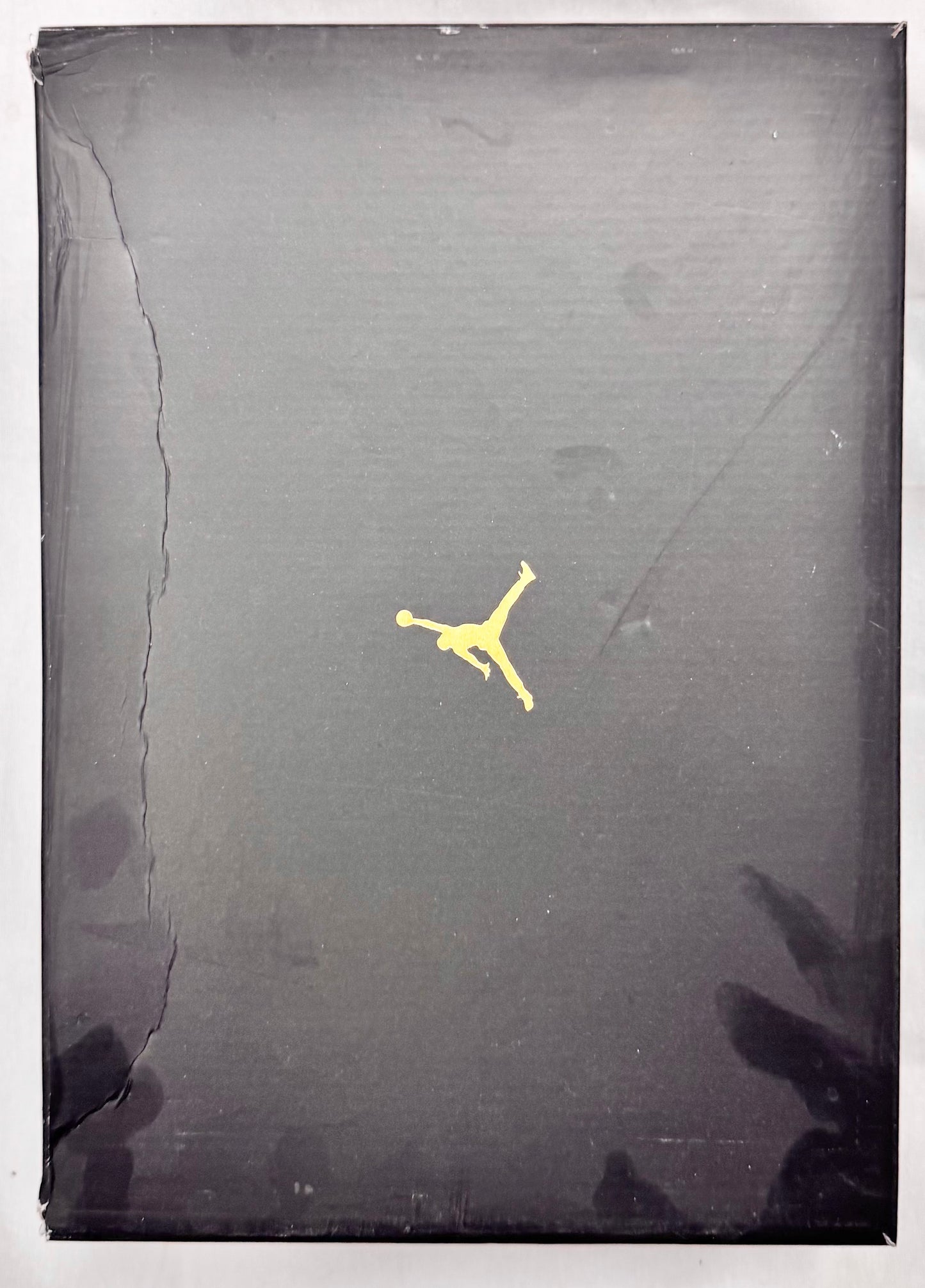 Jordan 11 Retro DMP Gratitude (2023) (Pre-Owned)