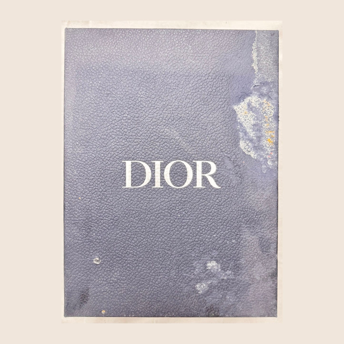 Dior B22 Orange White (Pre-Owned)