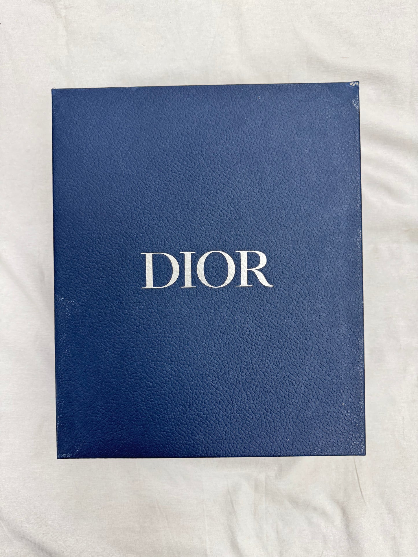 Dior B23 High Top Logo Oblique (Pre-Owned)