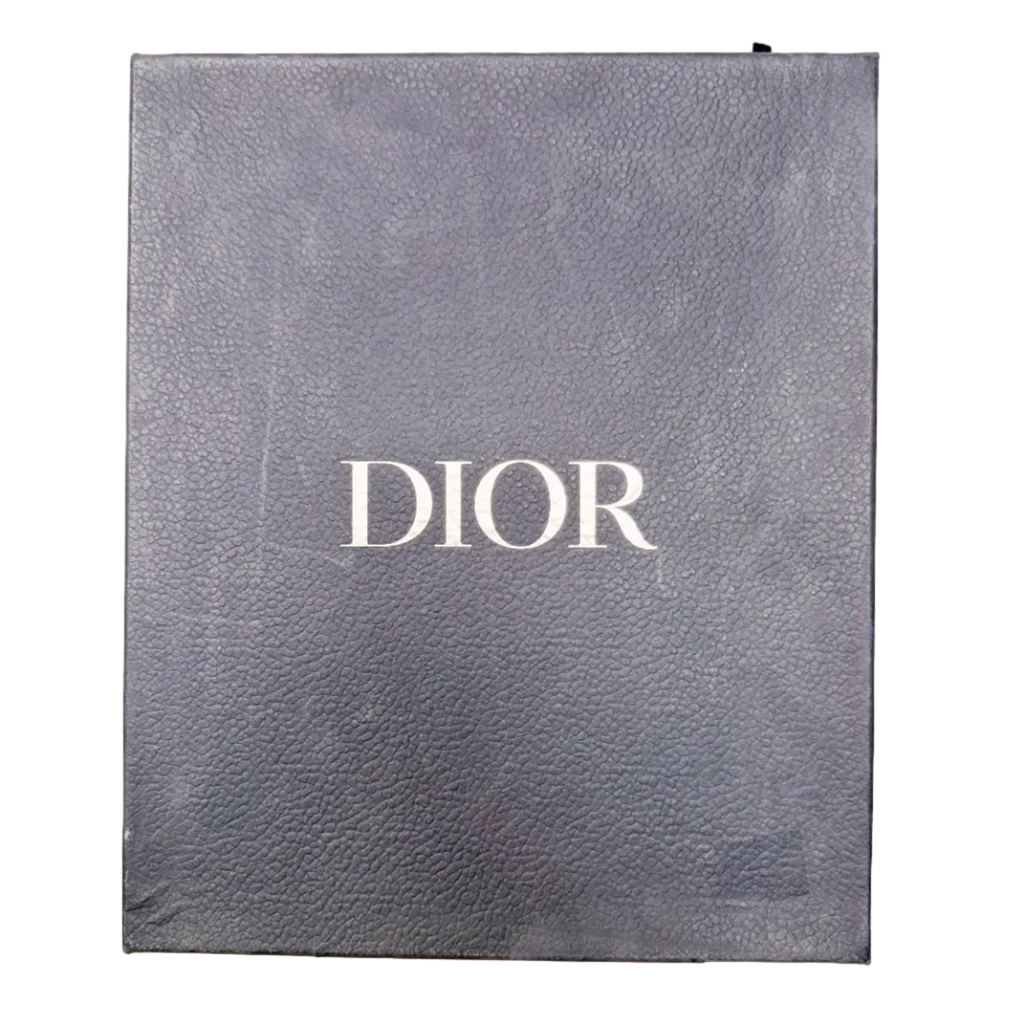 Christian Dior B22 Technical Mesh Calfskin (Pre-owned)