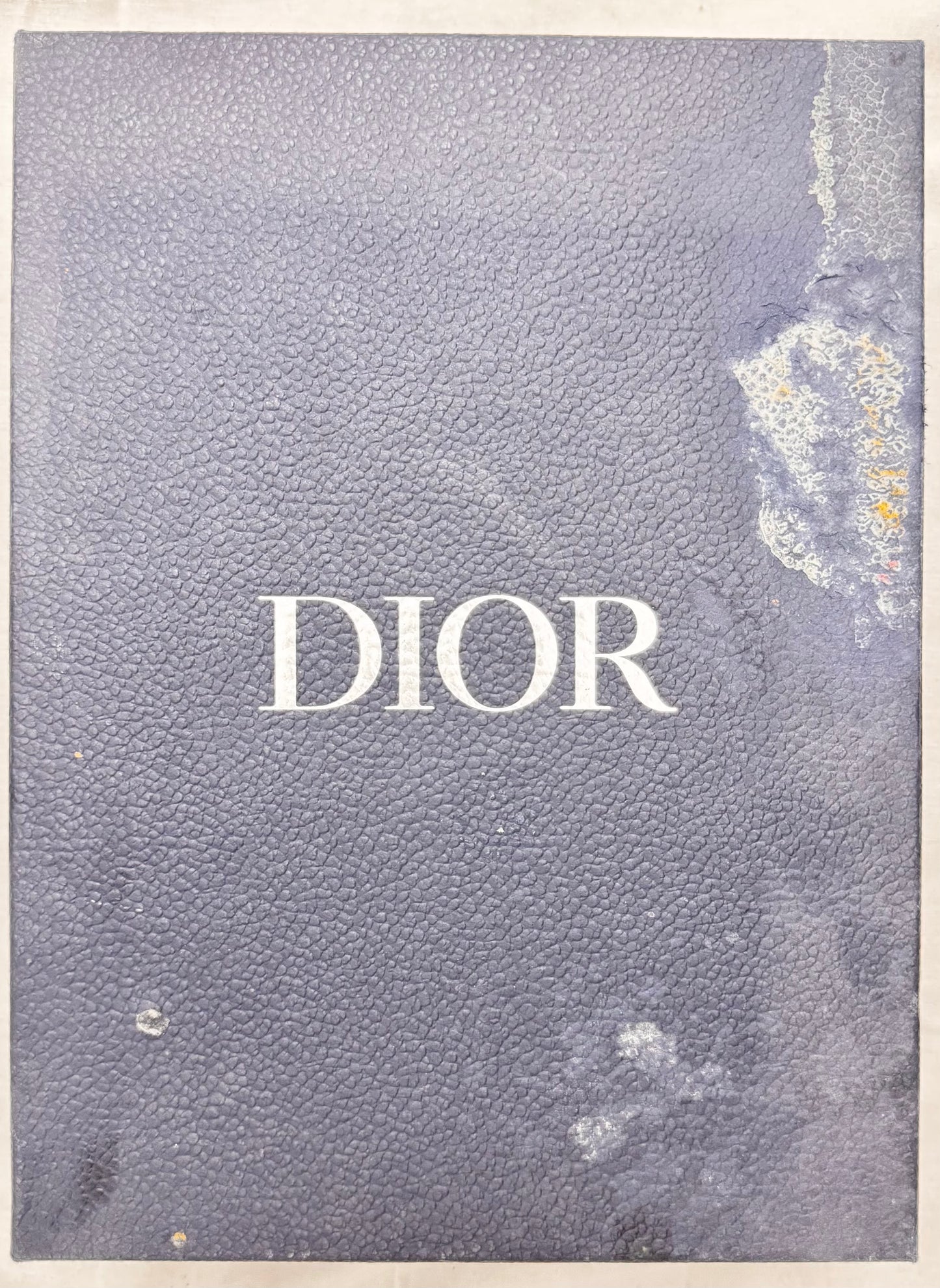 Dior B22 Orange White (Pre-Owned)