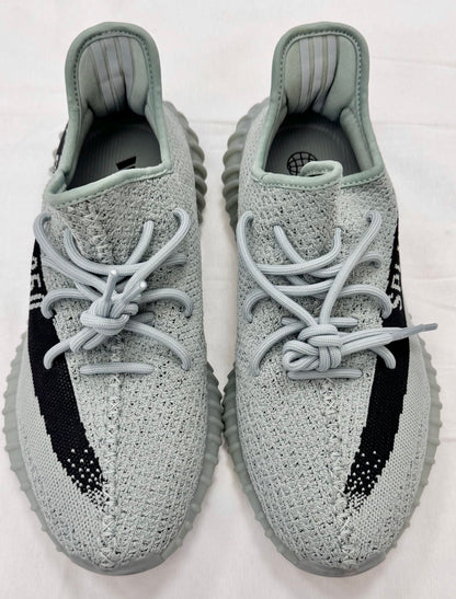 adidas Yeezy Boost 350 V2 Salt (Pre-Owned)