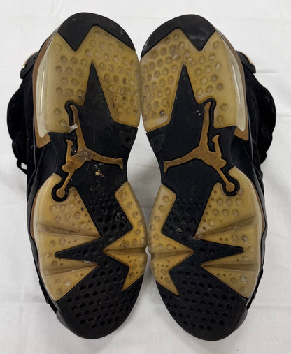 Jordan 6 Retro DMP (2020) (Pre-Owned)