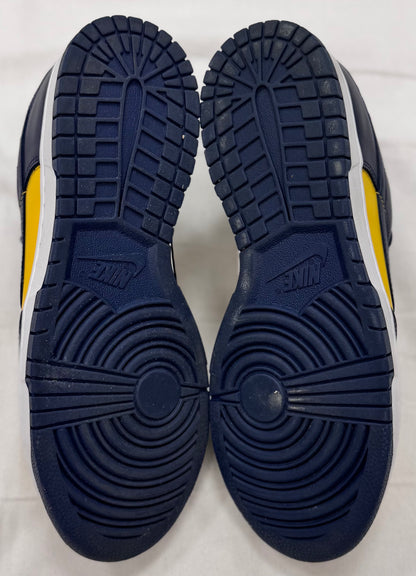 Nike Dunk Low Michigan (2021) (Pre-Owned)