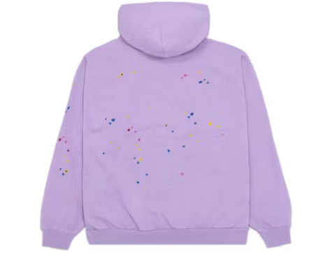 Sp5der Acai Hoodie