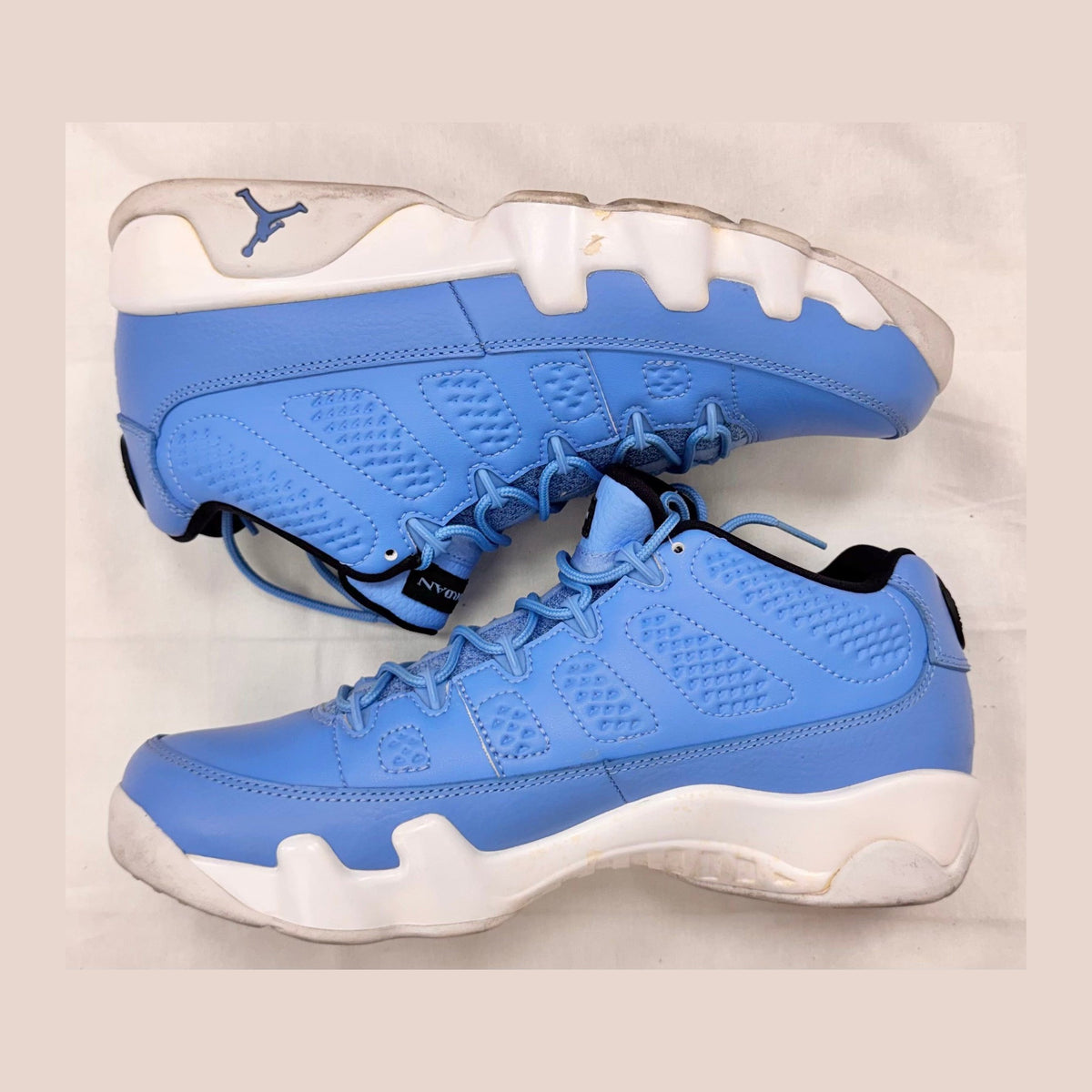Jordan 9 Retro Low Pantone (Pre-Owned)