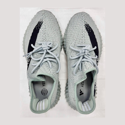 adidas Yeezy Boost 350 V2 Salt (Pre-Owned)