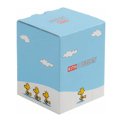 Kith x Peanuts Piggybank Fury