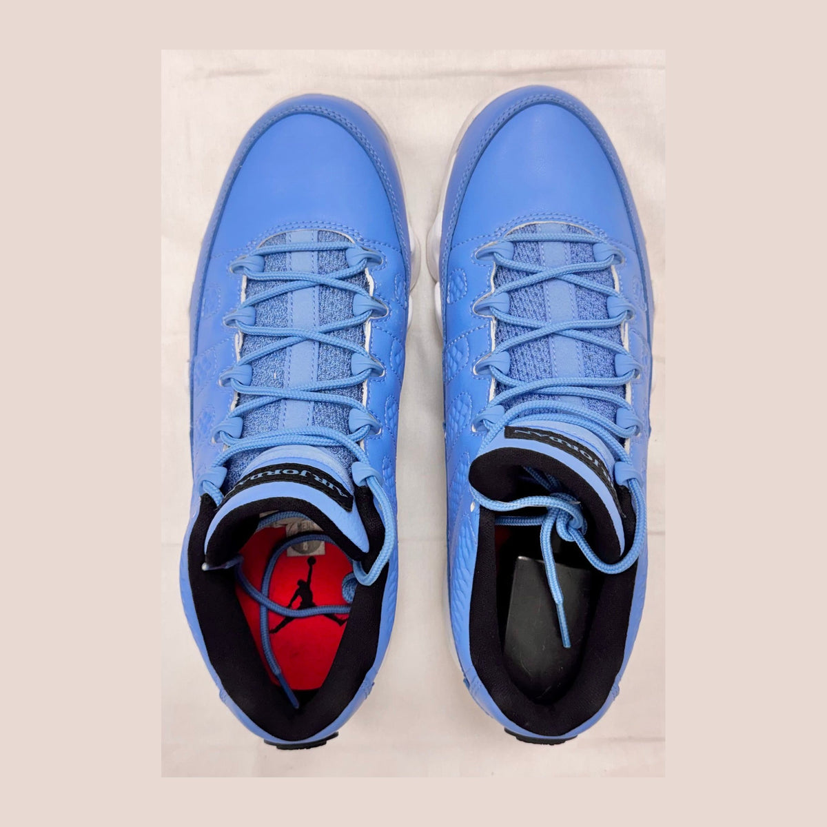 Jordan 9 Retro Low Pantone (Pre-Owned)