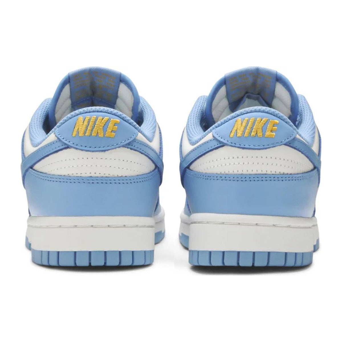 Nike Dunk Low Coast (Women's)