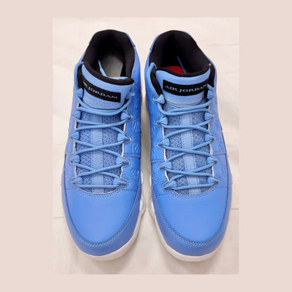 Jordan 9 Retro Low Pantone (Pre-Owned)