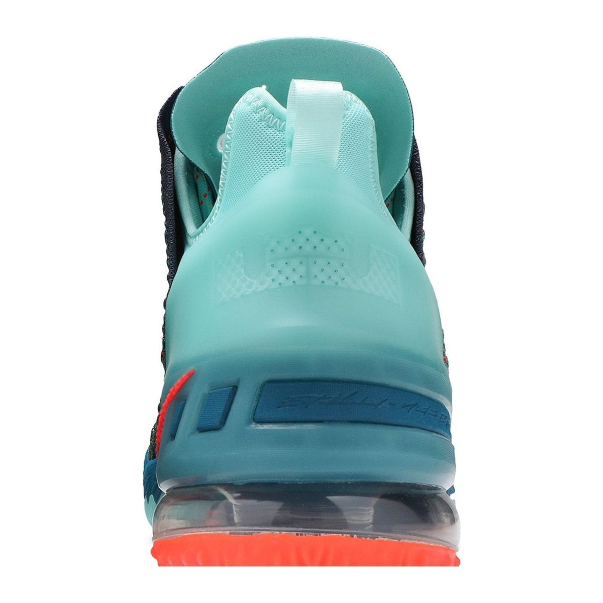 Nike LeBron 18 We Are Family