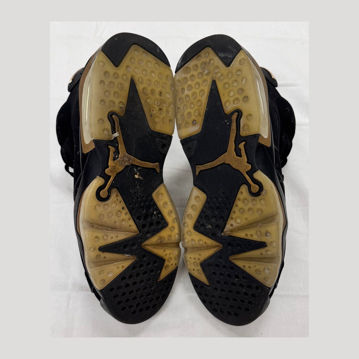 Jordan 6 Retro DMP (2020) (Pre-Owned)