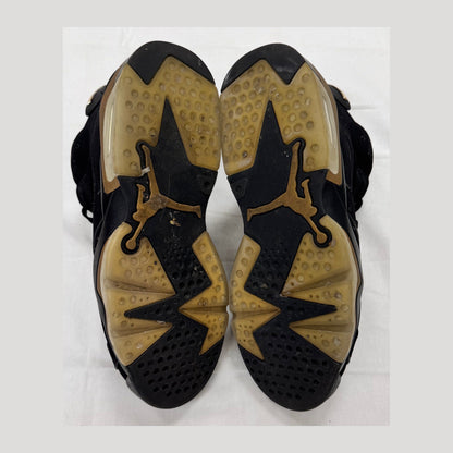 Jordan 6 Retro DMP (2020) (Pre-Owned)