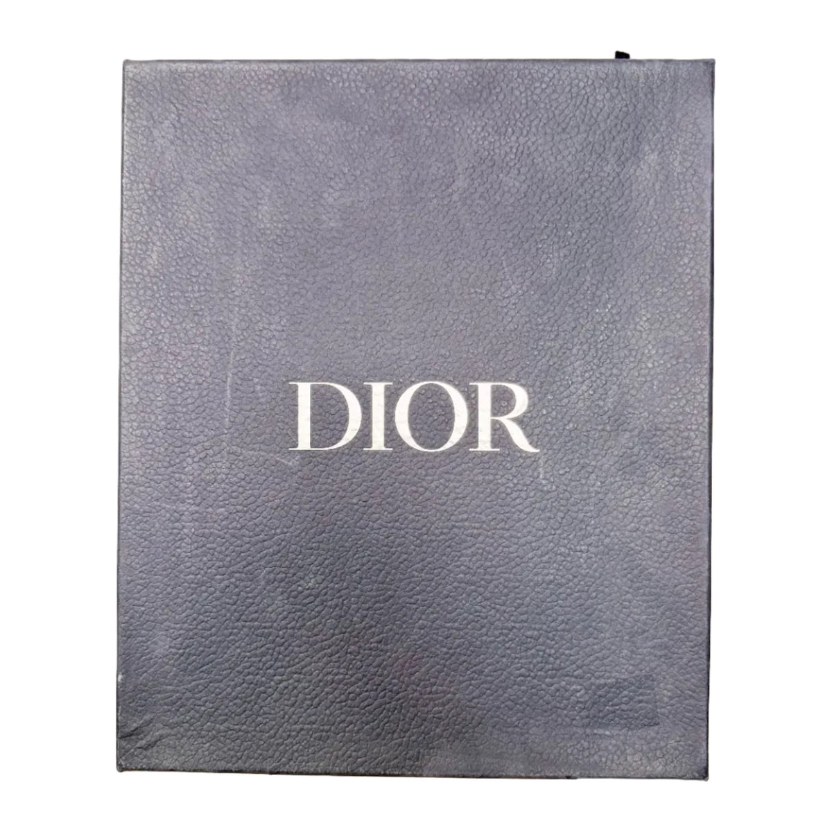 Christian Dior B22 Technical Mesh Calfskin (Pre-owned)
