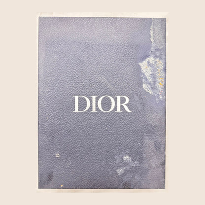 Dior B22 Orange White (Pre-Owned)